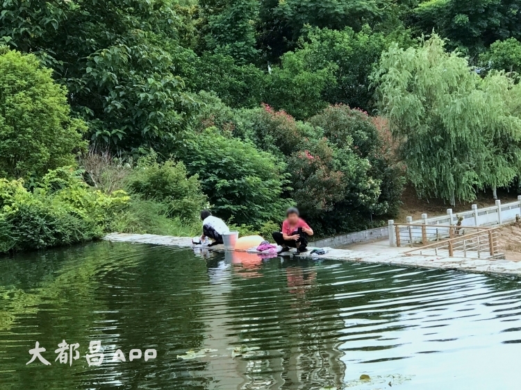 煞风景 景观池“变身”洗衣池