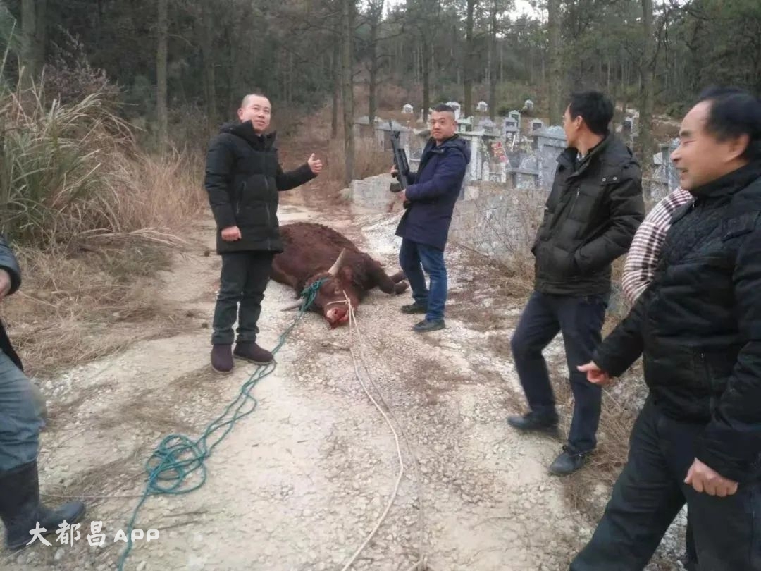 都昌民警三枪之后，群众送来了锦旗