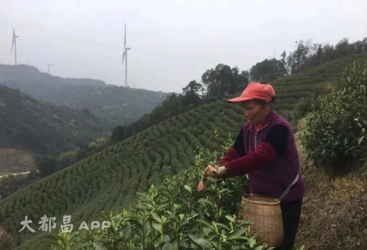 关于都昌，这下火了！