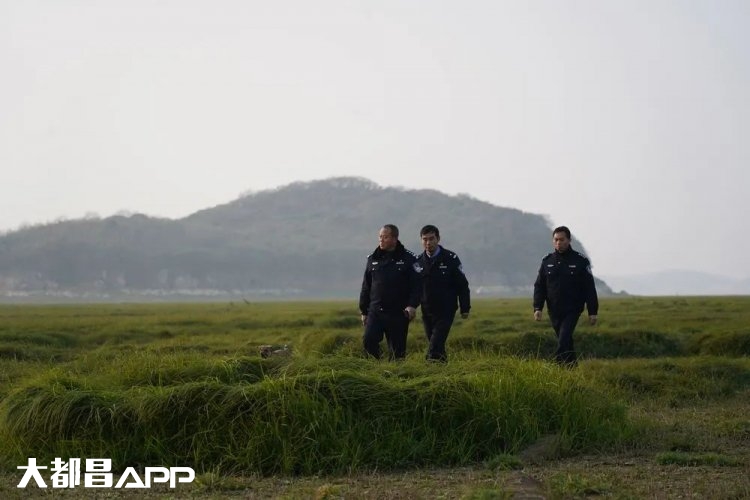 新华社：为了江豚和候鸟，都昌"黑脸警察"守护孤岛5年