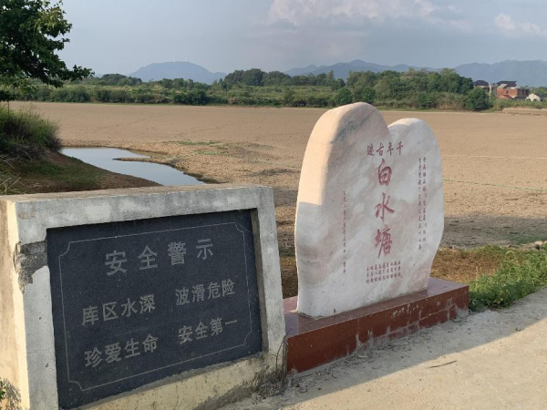 江西都昌县水稻面临绝收，八村共用一座水库，村民购买农业保险降低损失